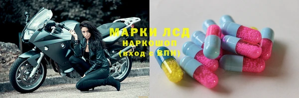 стаф Баксан