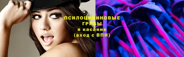 стаф Баксан