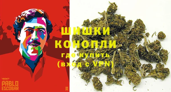 стаф Баксан