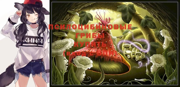 стаф Баксан