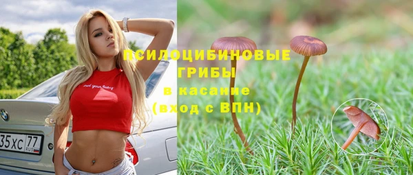 дмт Арсеньев