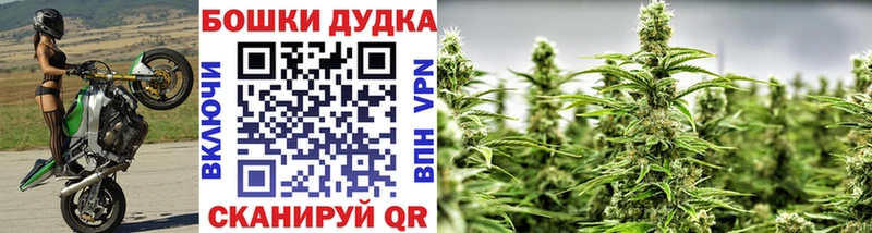 Бошки Шишки план  Руза 